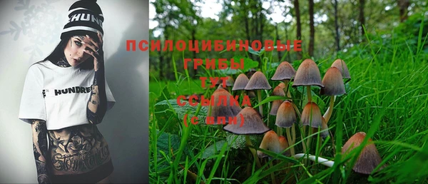 дурь Алексин