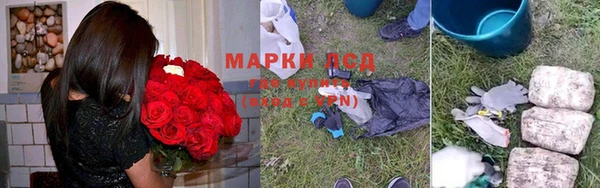 дурь Алексин