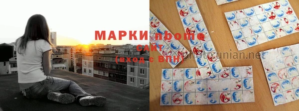 a pvp Алзамай